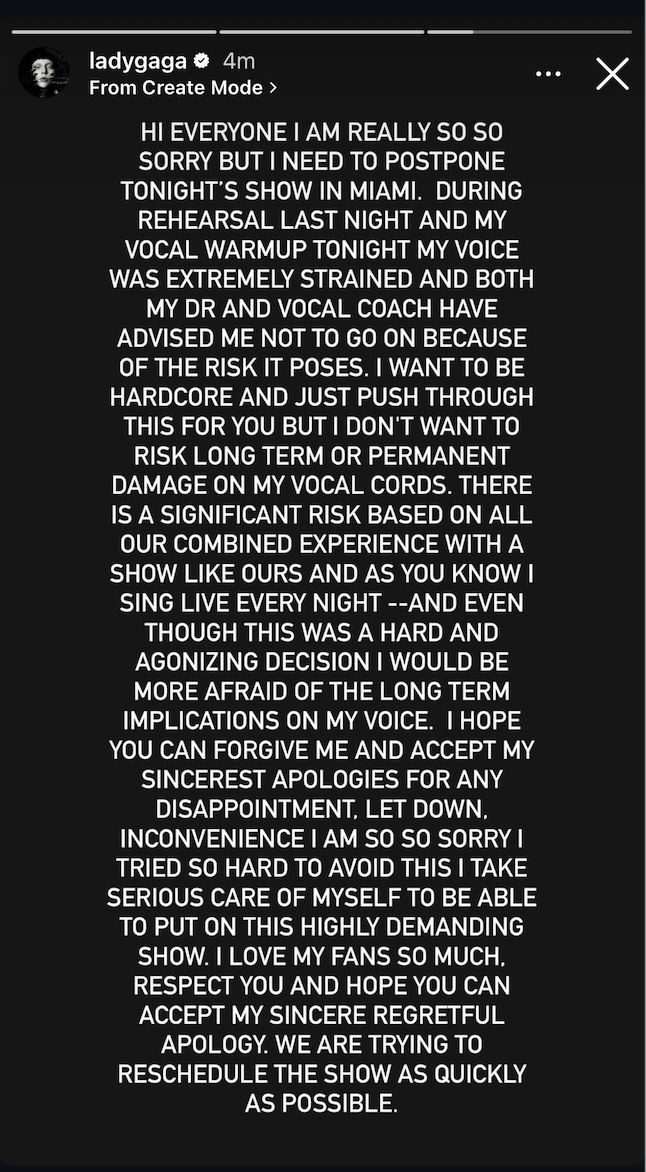 Image of a Lady Gaga Instagram story.
