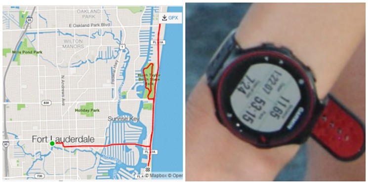 Seo later admitted she'd faked GPS evidence (left) by biking the course; a zoomed-in photo of her watch shows the distance she actually ran. - PHOTOS VIA MARATHON INVESTIGATIONS