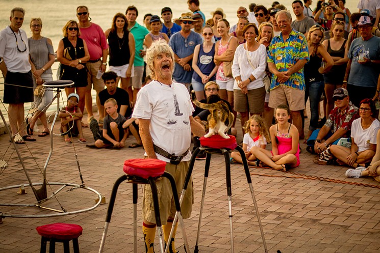 See more photos from Lefort's Mallory Square cat show. - PHOTO BY JAVIER STORCH