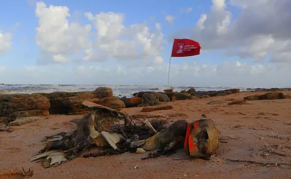 "The Center for Post-Capitalist History" at Laundromat Art Space Blurs the Lines Between Fact and Fiction