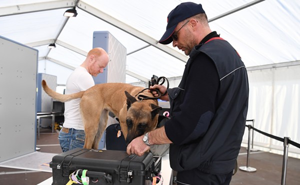 Bummer Cruise! Carnival Deploys Drug Dogs to Sniff Out Marijuana