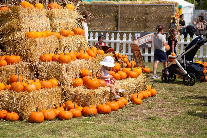 Things to Do in Miami Coconut Grove Pumpkin Patch Festival October 26