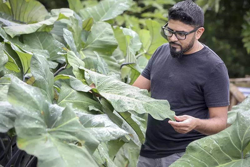 Ghee Indian Kitchen Opening Location in Miami Design District Miami