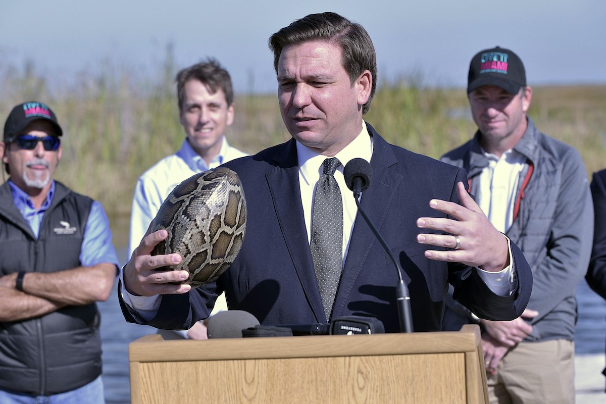 Gov. Ron DeSantis gets ready for the Ssssuper Bowl by pledging to host a python-hunting challenge every year.