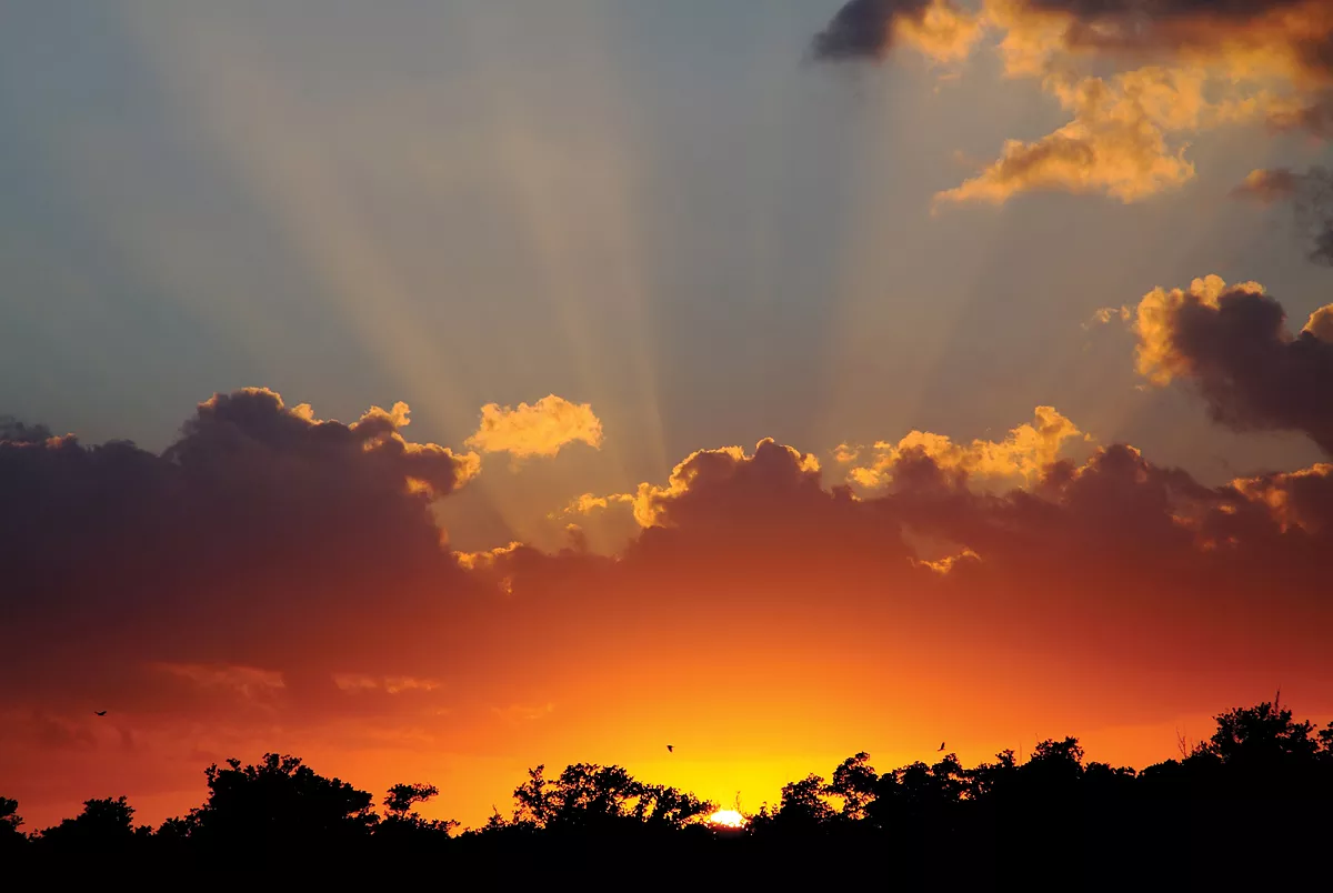 Matheson Hammock Park Coral Gables/S. Miami Parks and Outdoors