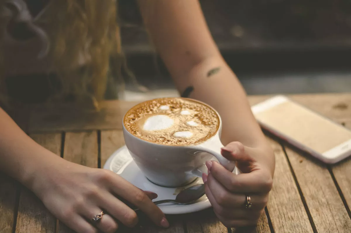 This and That Cat Cafe and Art Space Hopes to Open in Miami Miami New Times