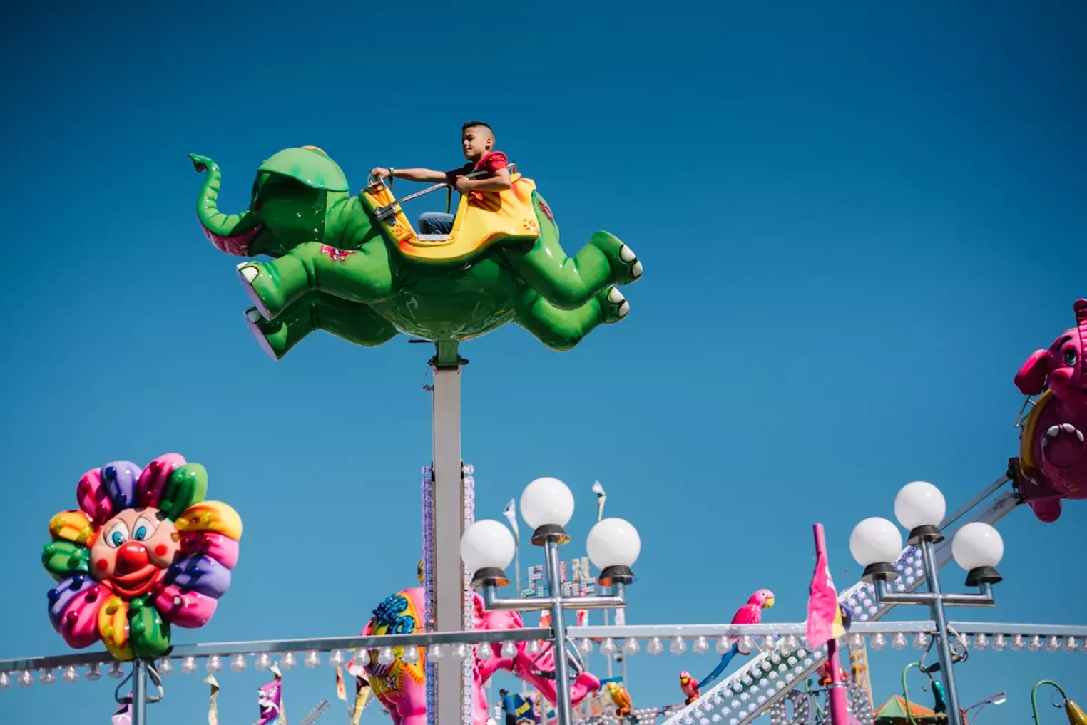 MiamiDade County Youth Fair 2018 Photos Miami New Times