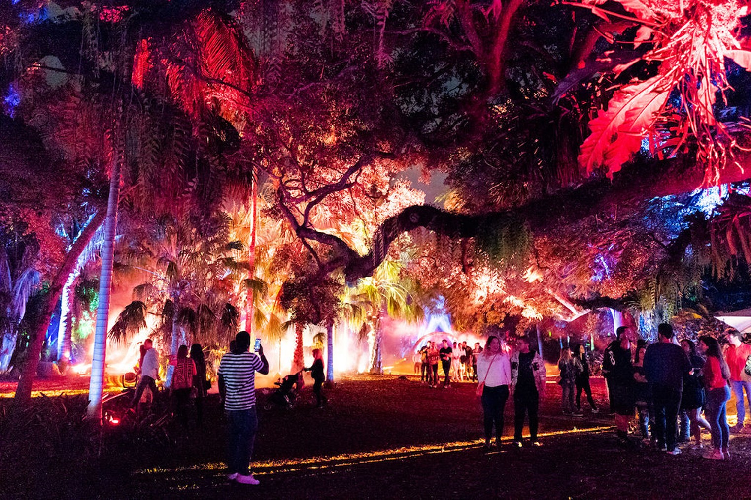 NightGarden at Fairchild Tropical Botanic Garden Photos Miami New Times