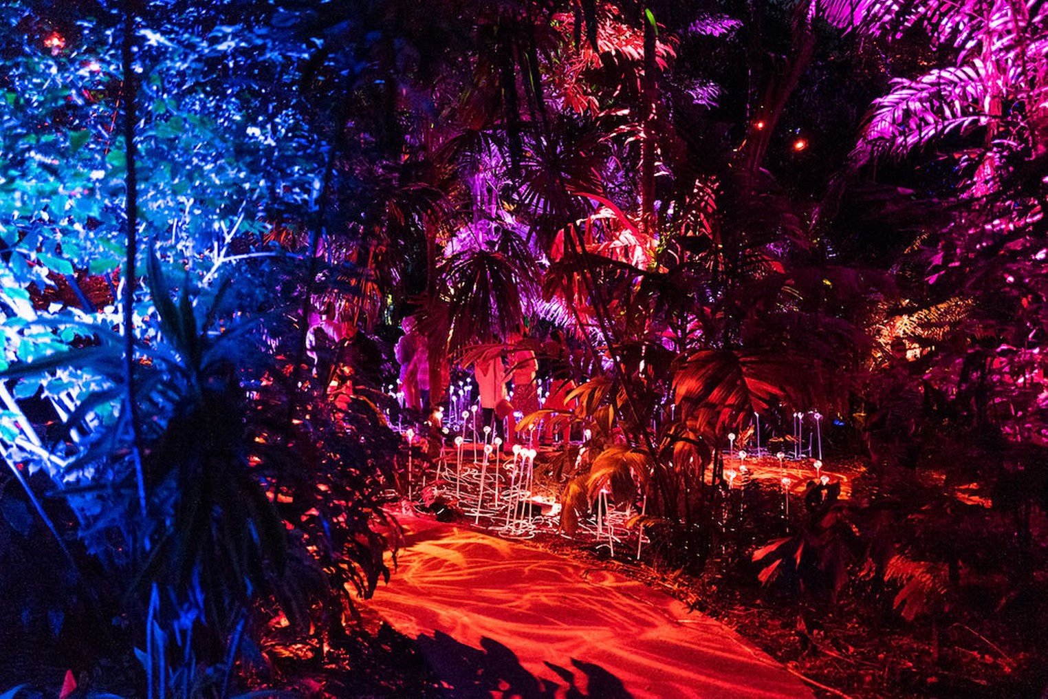 NightGarden at Fairchild Tropical Botanic Garden Photos Miami New Times