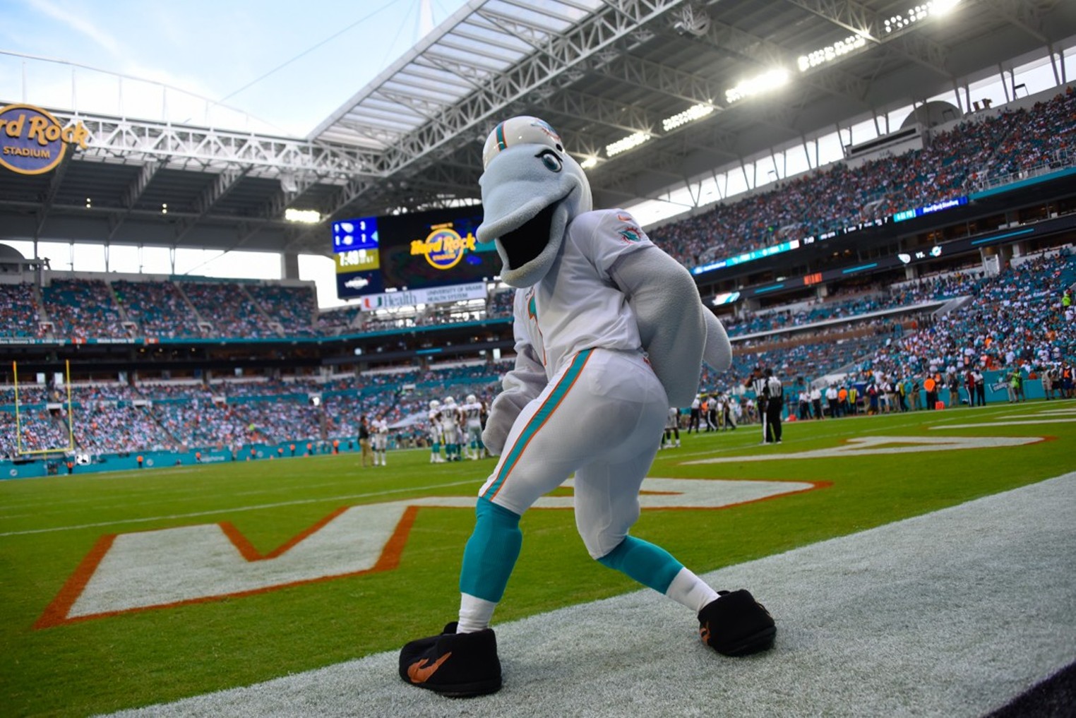 Miami Dolphins mascot T.D. runs onto the field before the start of