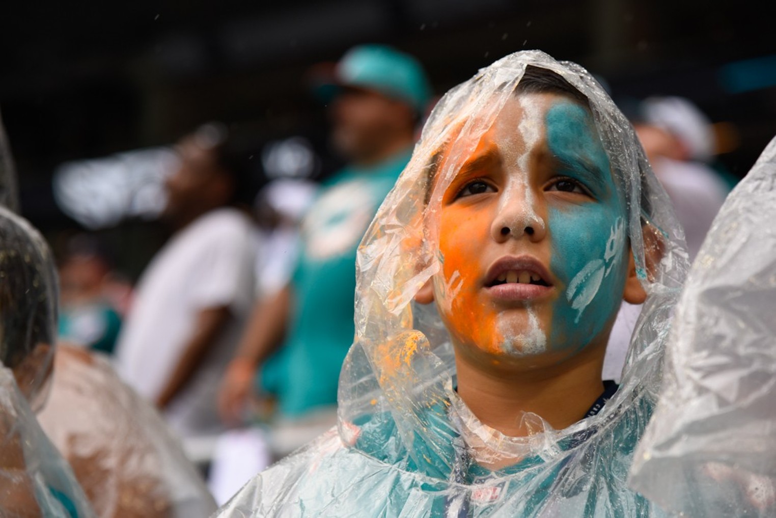 Miami Dolphins and Miami Hurricanes: How to Survive Another Lost Football  Season