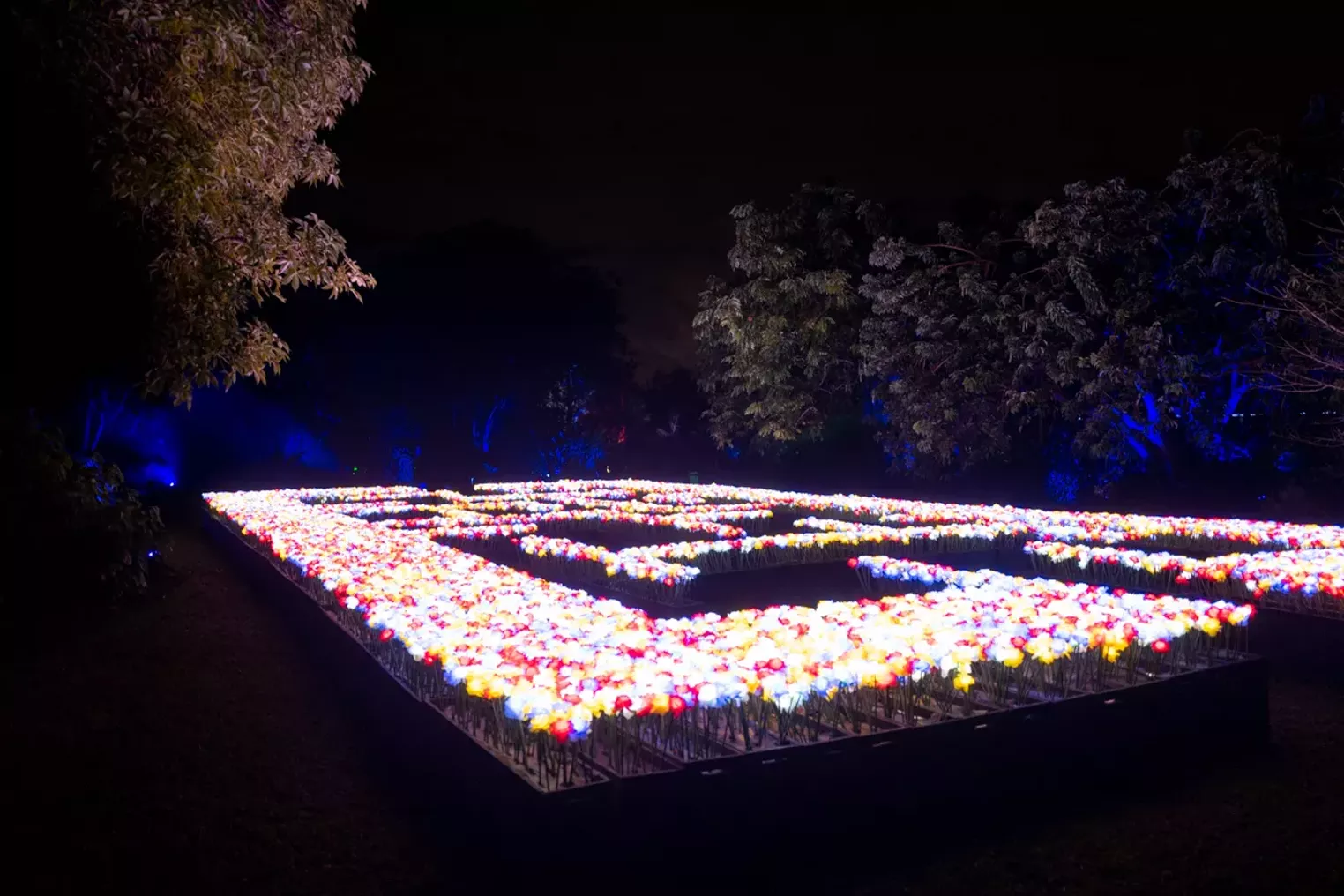 NightGarden at Fairchild Tropical Botanic Gardens Miami Photos 2019