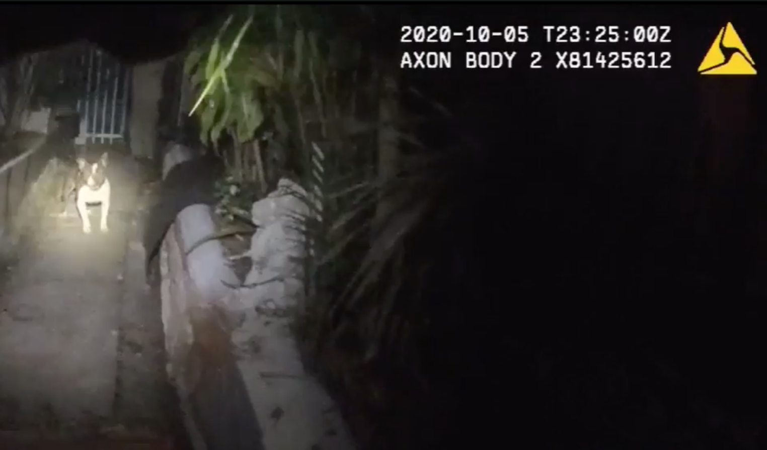 Miami Man Files Federal Lawsuit After MiamiDade Police Tased, Shot Dog