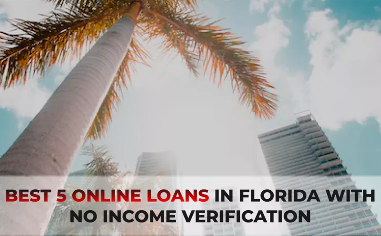 Best 5 Online Loans in Florida with No Income Verification - Vimarsana News