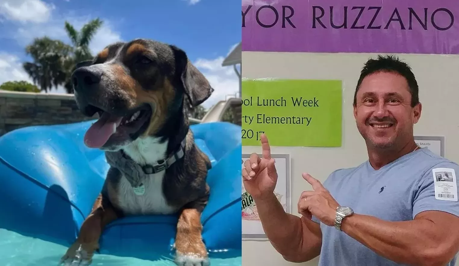 Miami-Area Mayor Eulogizes His Dog's Balls on Instagram - Vimarsana News