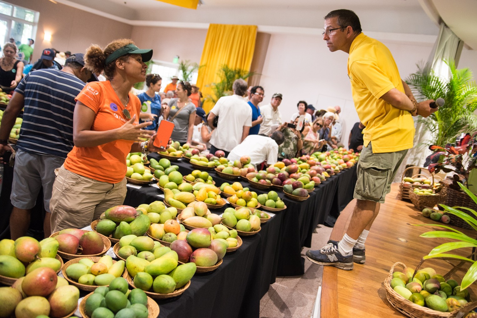 24th Annual International Mango Festival at Fairchild Tropical Botanic