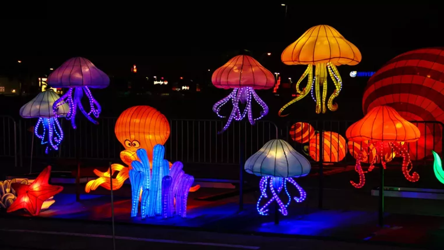 Miami New Times at the Lantern Light Festival Miami Miami New Times