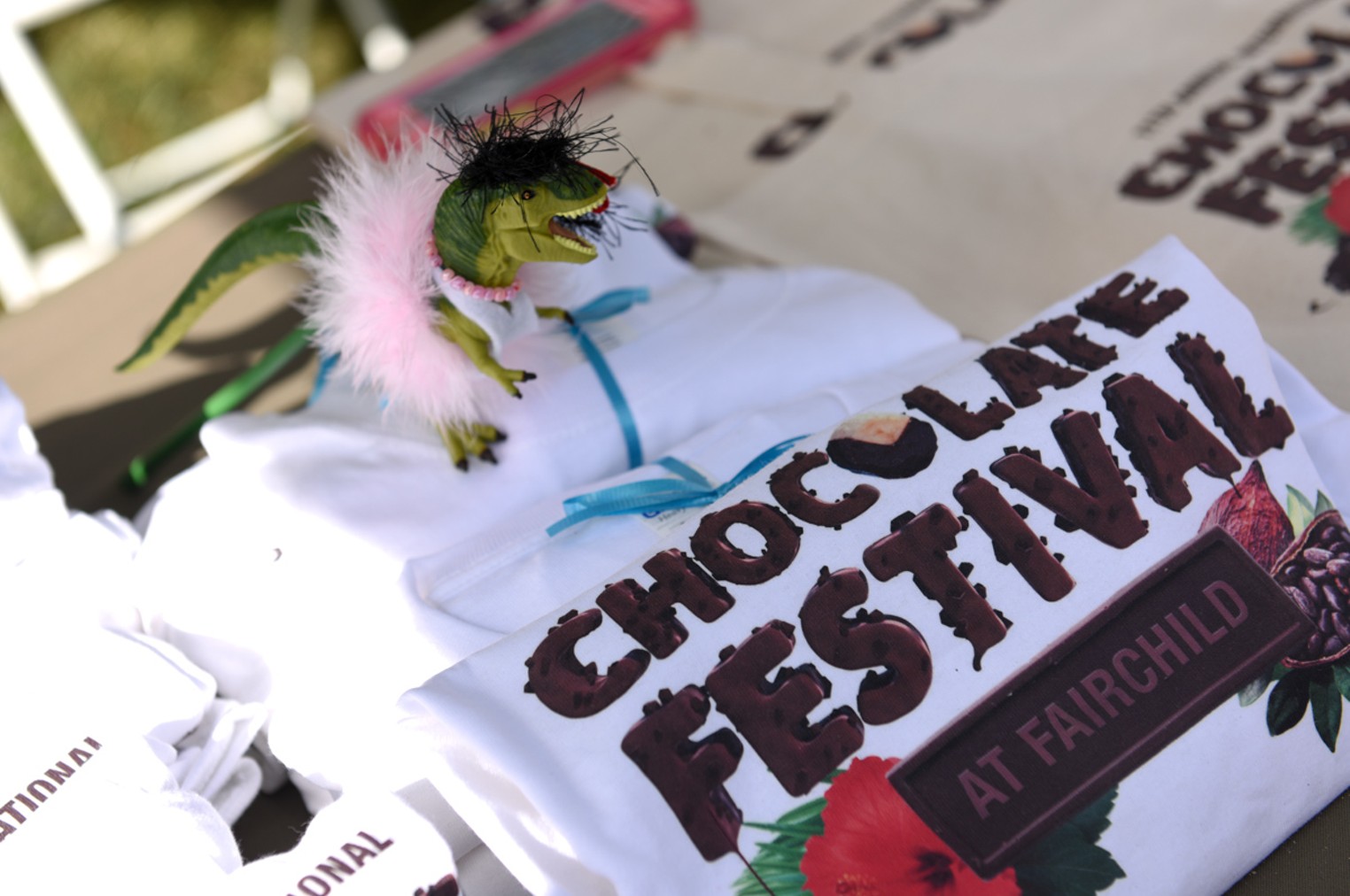 International Chocolate Festival at Fairchild Tropical Botanic Garden