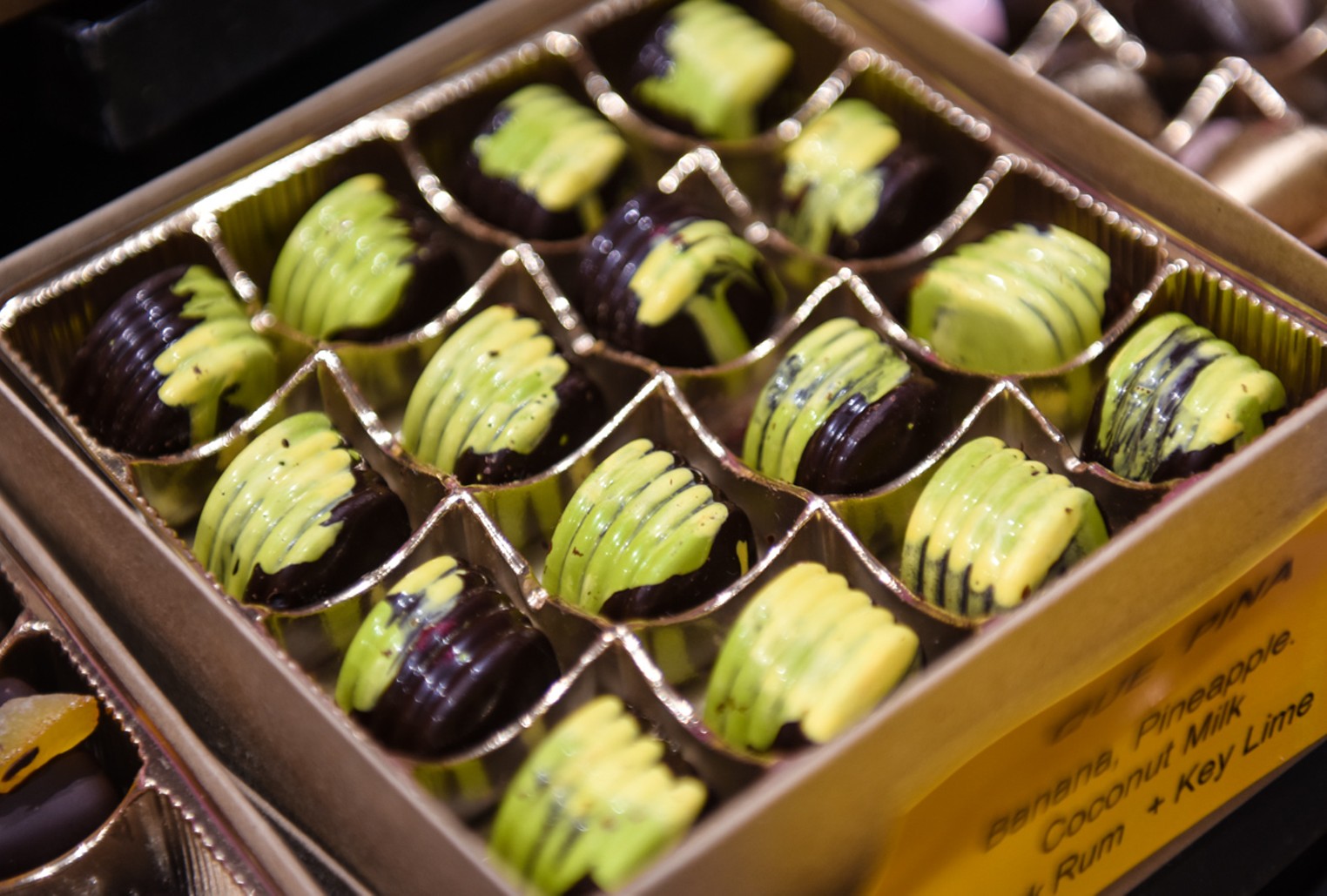 International Chocolate Festival at Fairchild Tropical Botanic Garden