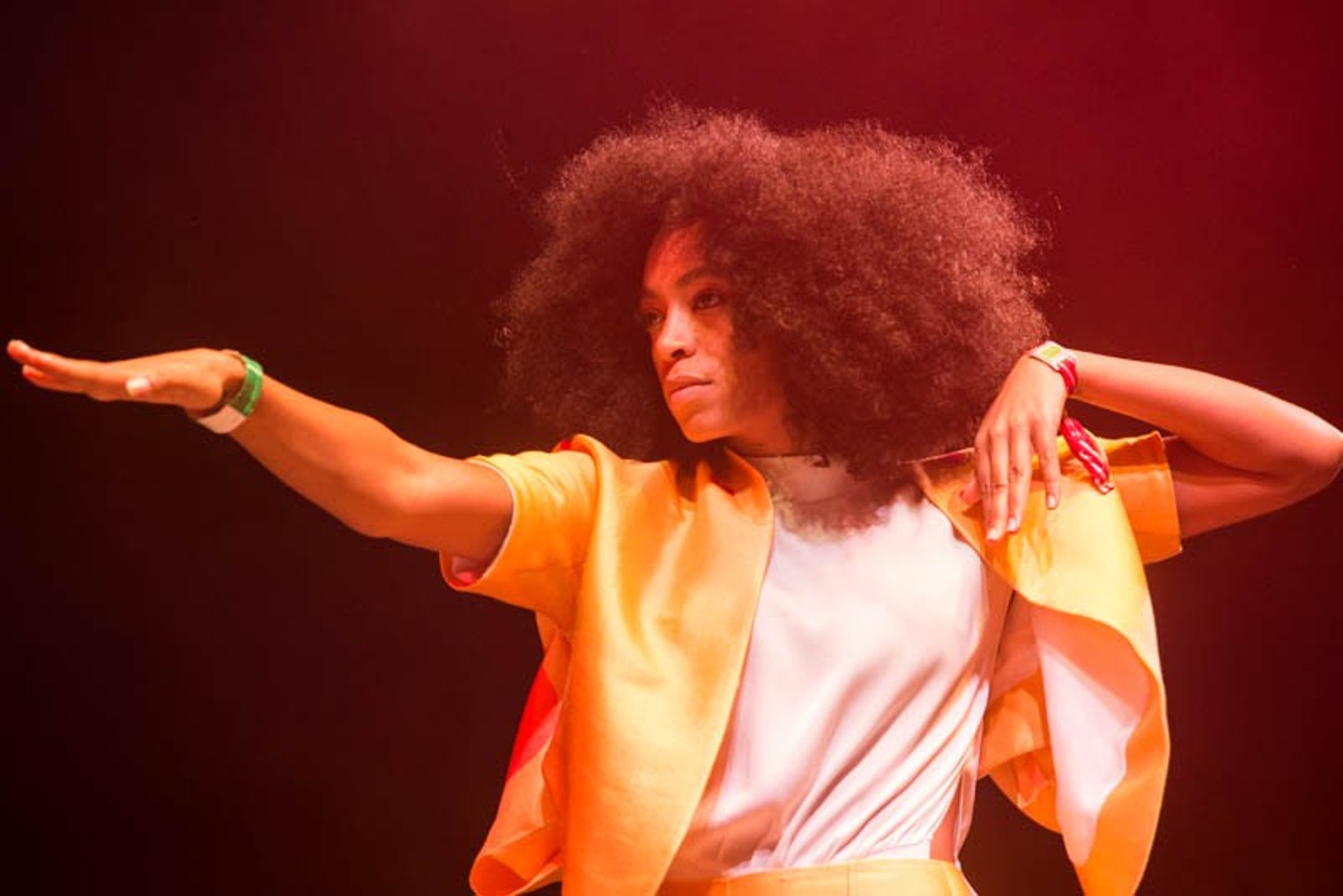 Solange Knowles And The Cranes In Miami Sky Seen Through Big Short New Times