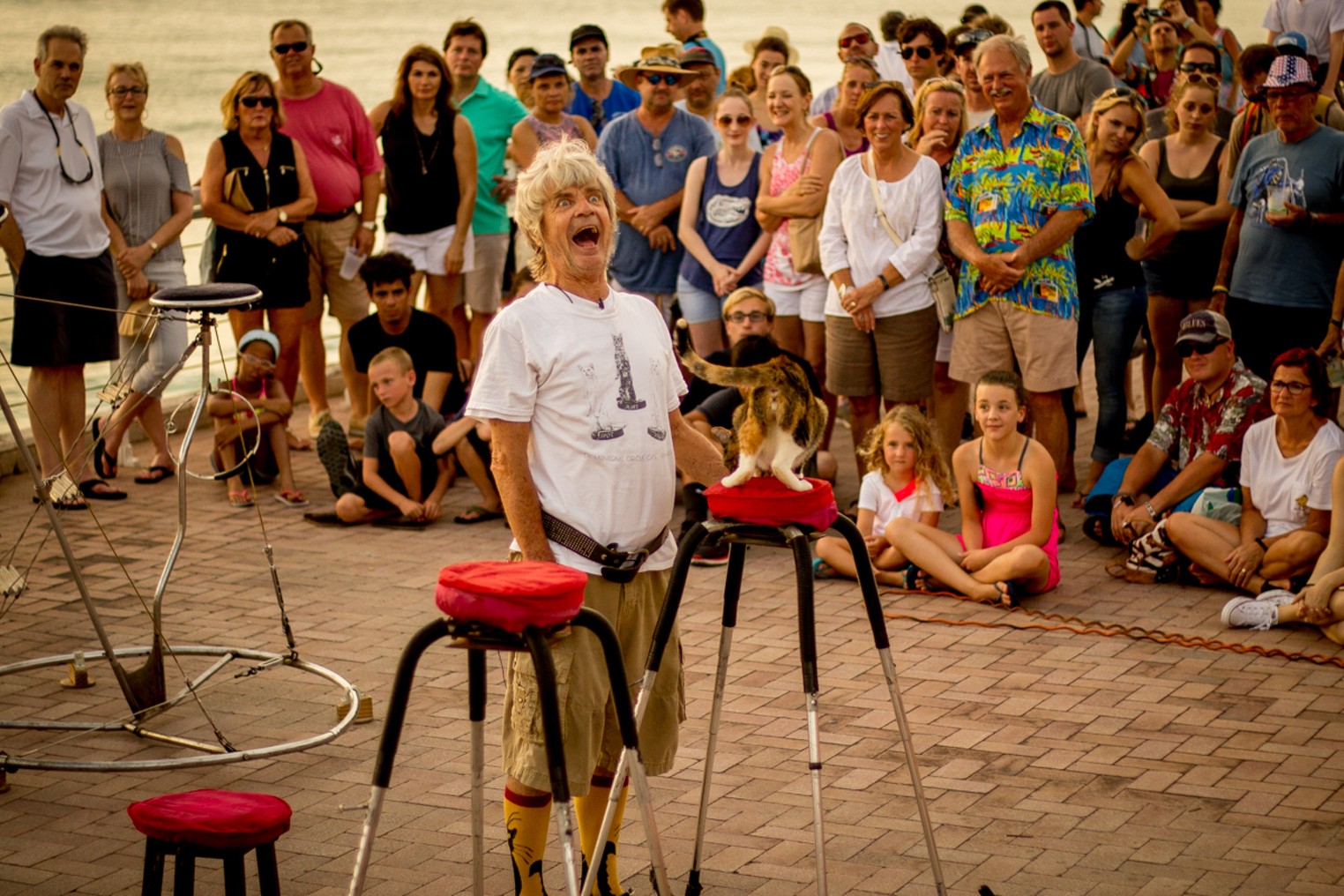 Meet the Mysterious Key West Cat Man Miami Miami New Times The