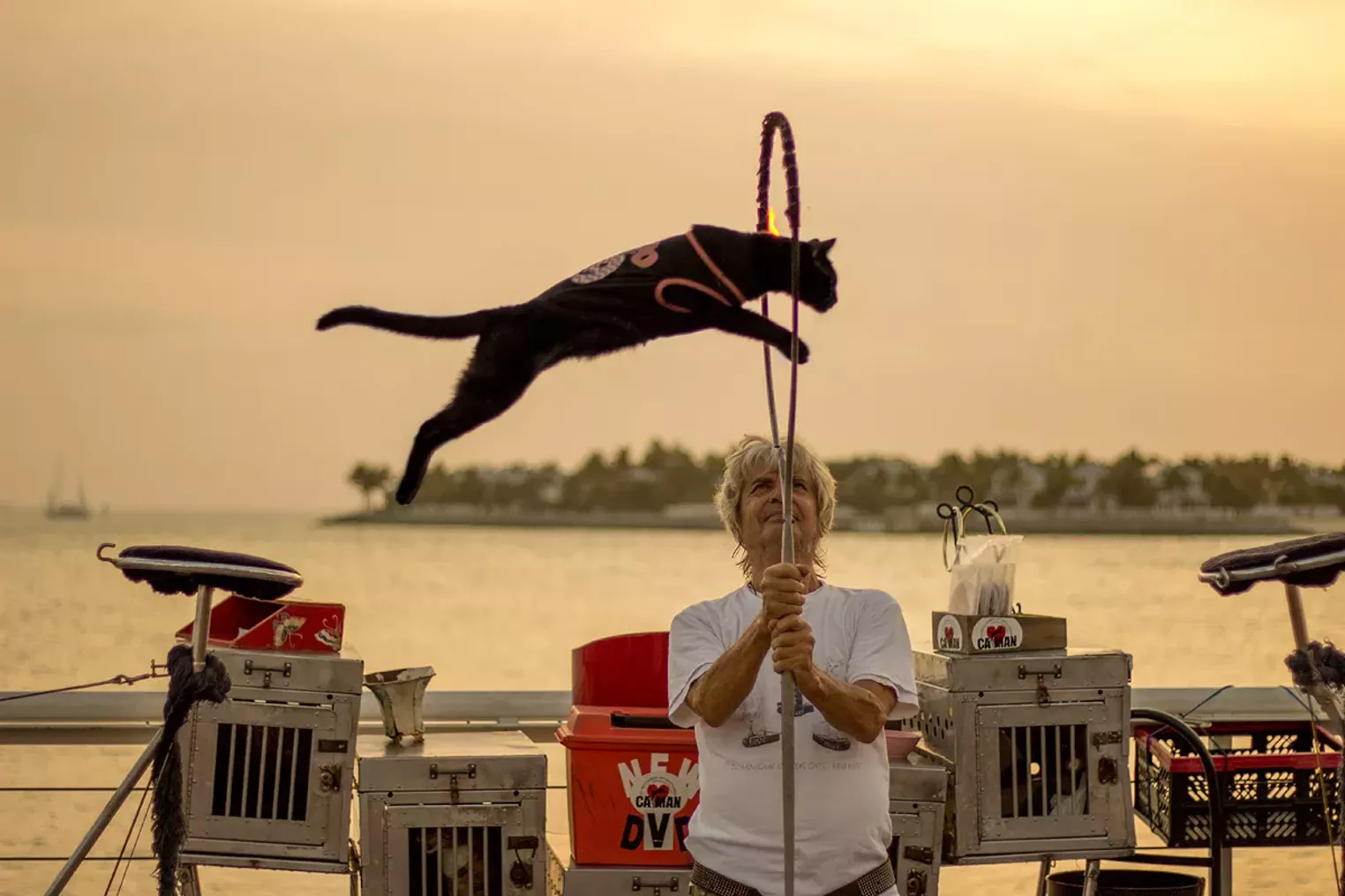 Meet the Mysterious Key West Cat Man Miami Miami New Times The