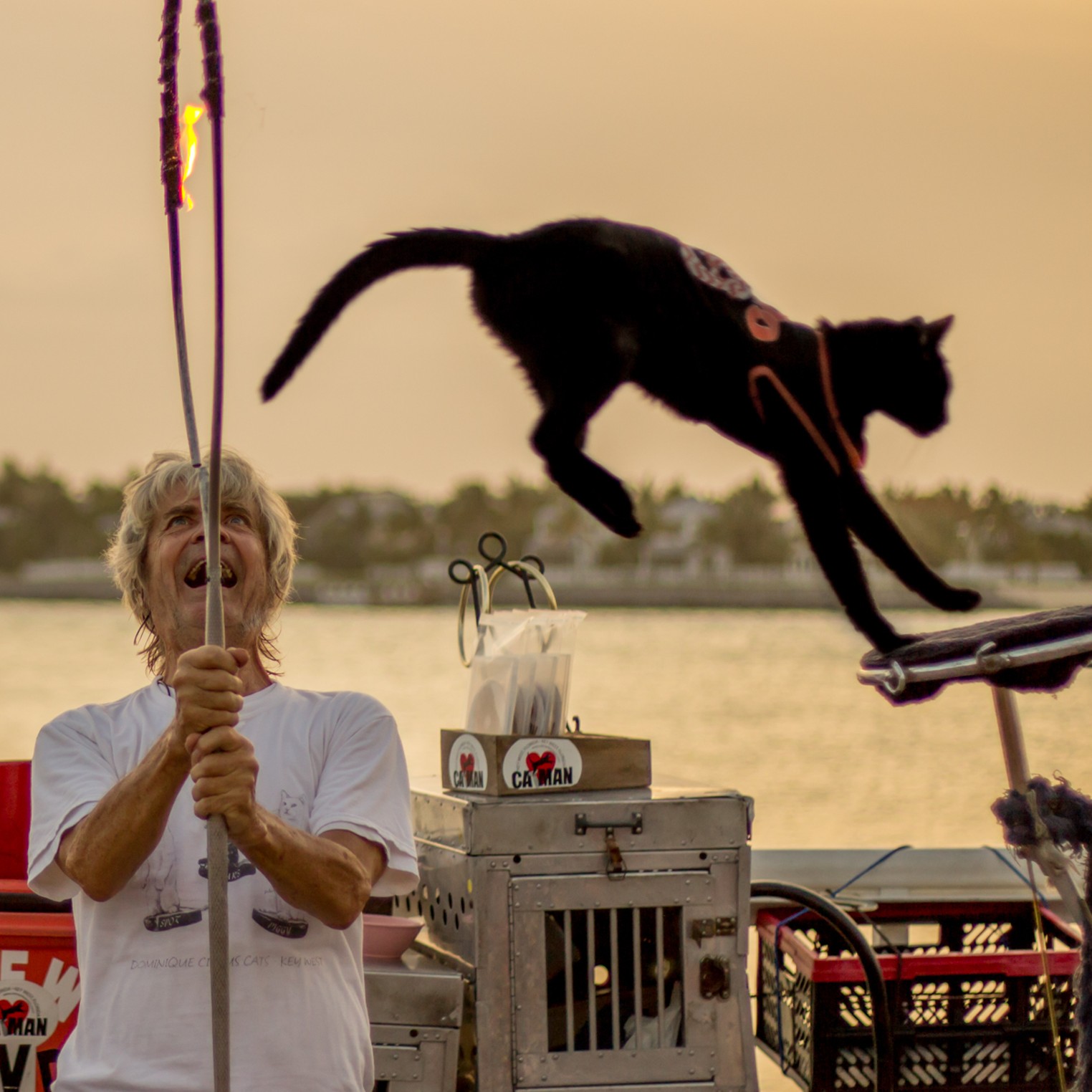 Meet the Mysterious Key West Cat Man Miami Miami New Times The