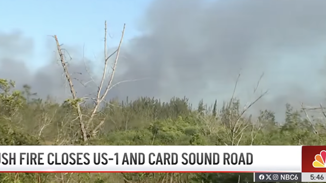 Screenshot of a brush fire in Southwest Miami-Dade County