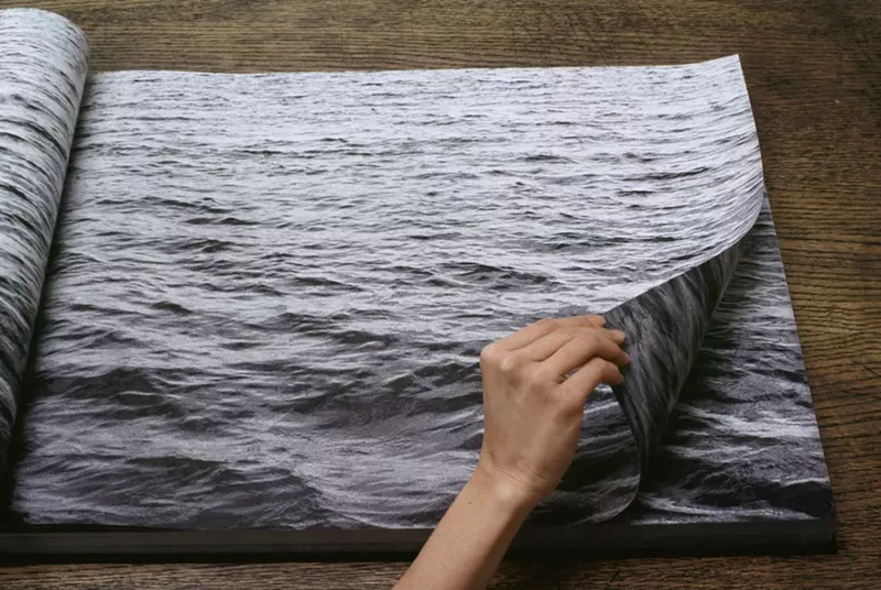 Image: Lani Maestro's A Book Thick of Ocean.
