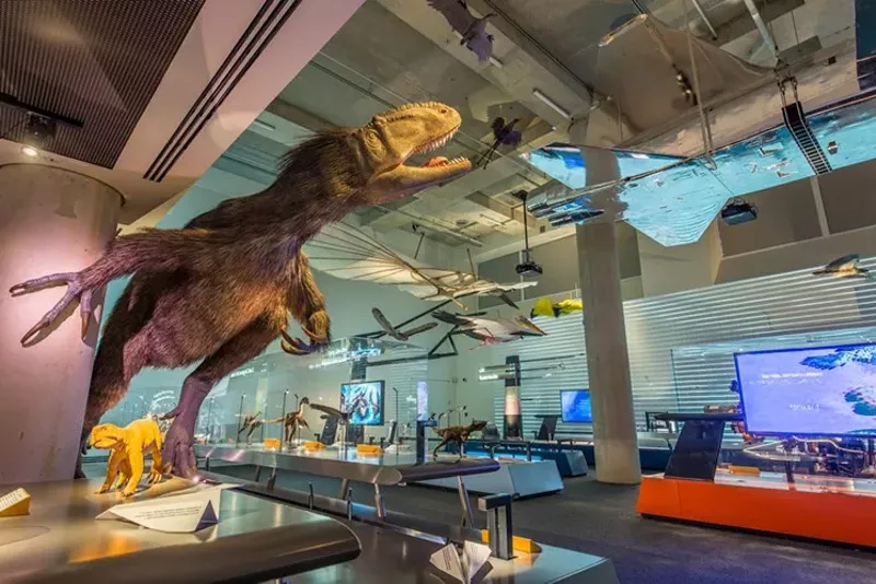 Image: "Feathers to the Stars" exhibit at Frost Science.